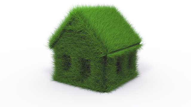 green grass house 3d