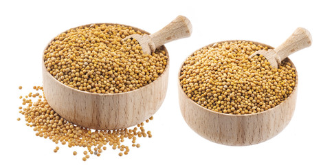 Mustard seeds isolated on white background with clipping path
