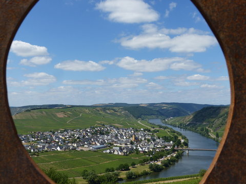 Blick durch die Weinstele auf Trittenheim / Mosel