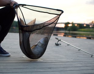 Fish © Marcin