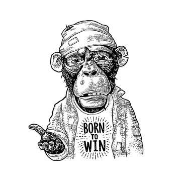 Monkeys begging. Lettering BORN to WIN. Vintage black engraving