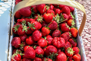 Basket with strawberries