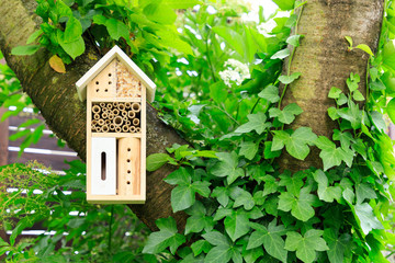 A wooden insect hotel in the tree