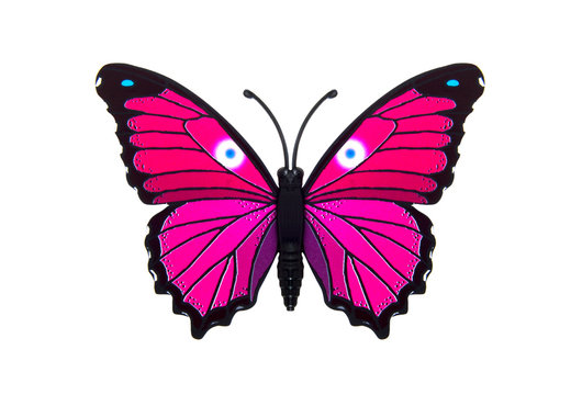 Beautiful pink colored butterfly
