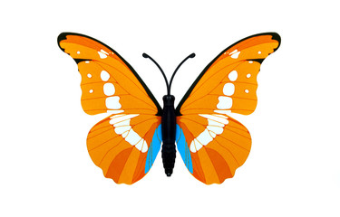 Beautiful orange butterfly