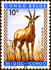 Antelope on postage stamp of Belgian Congo