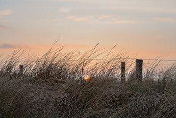 North Sea coast at the sunset in summer. The Netherlands, Europe
