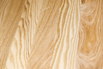 Glued wooden Board of ash close-up.