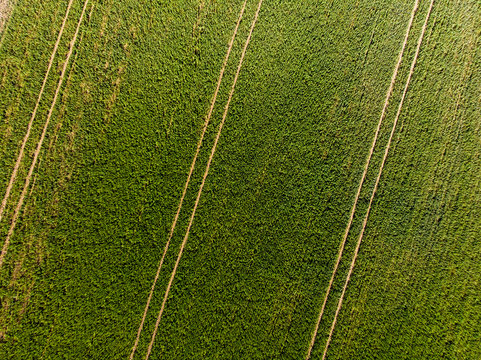 Crop field drom above, aerial view