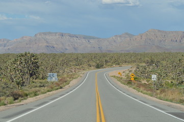 Fototapeta na wymiar Arizona Desert 4