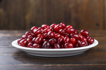 Cornelian cherry dogwood