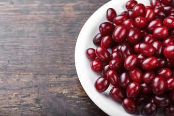 Cornelian cherry dogwood