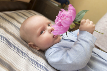 A small child holds a pink peony flower
