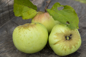 Ripe fruits of apples on a wooden background