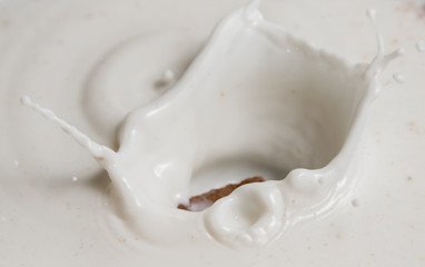 Chocolate falls in milk