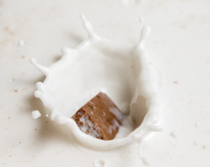 Chocolate falls in milk