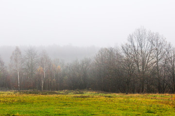 Obraz na płótnie Canvas A misty morning is in the autumn forest..