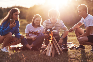 Photo of happy classmates or friends roast marshmallows over campfire, sit on ground, have picnic...