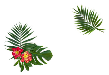 Frame of tropical leaves palm tree and monstera with red yellow flowers on a white background with space for text. Top view, flat lay.