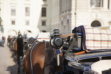 Horse carriages stand along the street Background is blurred