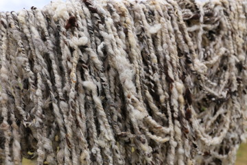 Sheep Wool fresh spinned