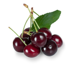 berries of sweet cherry