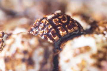 Background of Popcorns flavored with sweet chocolate
