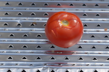 Grill Tomate Gemüse