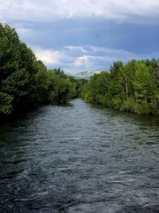 Fototapeta premium Woodland River Flowing Under a Heavy Gray Sky