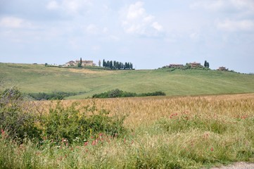 Toskana-Landschaft bei San Gimignano (Itlaien)