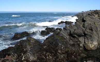 Fototapeta na wymiar Waves crashing on the N. California coast