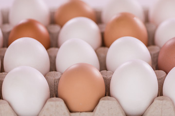 variety of white and brown eggs on a egg carton