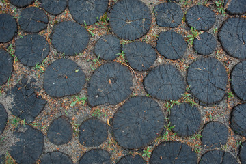 cut of wood with annual rings