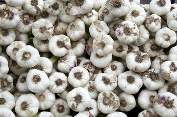 Fresh garlic buds in a stack at a market