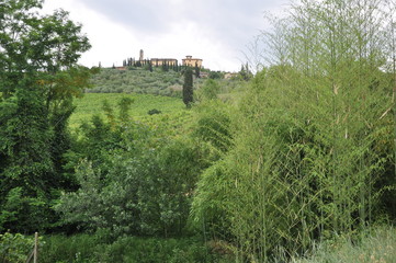 Fototapeta na wymiar Toskana-Landschaft bei San Gimignano (Itlaien)