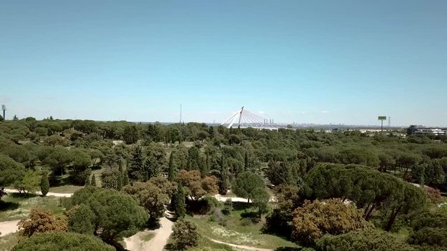 a&eacute;reo drone  volando sobre un bosque y al fondo puente  de la autopista  a6  y veh&iacute;culos circulandoo por la autopista  las rozas de madrid, y al fondo rascacielos de la ciudad de madrid