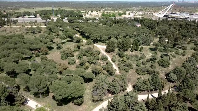 a&eacute;reo drone  volando sobre un bosque y al fondo puente  de la autopista  a6  y veh&iacute;culos circulandoo por la autopista  las rozas de madrid, y al fondo rascacielos de la ciudad de madrid