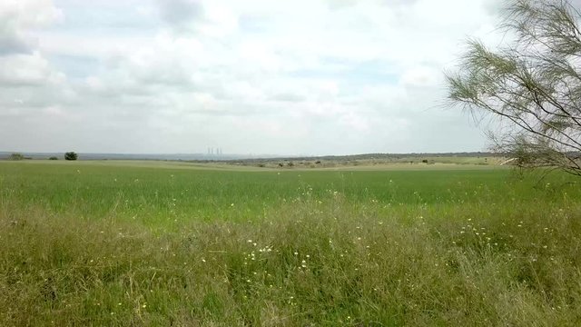 aéreo drone  volando sobre flores y una verde llanura con  la ciudad de las rozas de madrid al fondo