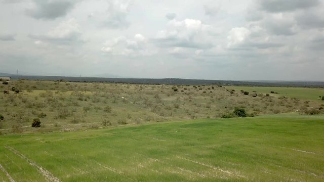 vista aérea de verde llanura y al fondo bosque de el pardo desde vuelo de drone