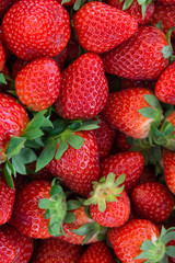Bunch of Ripe Freshly Picked Organic Strawberries with Green Leaves at Farmers Market. Vibrant Vivid Colors. Summer Harvest. Healthy Lifestyle Vitamins Superfoods Concept. Food Background Poster