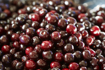 Wild bitter cherries