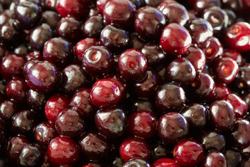 Wild bitter cherries