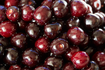 Wild bitter cherries