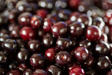 Wild bitter cherries