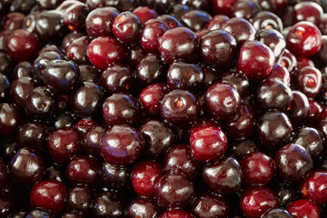 Wild bitter cherries
