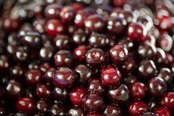 Wild bitter cherries