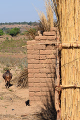 Village wall with small goat