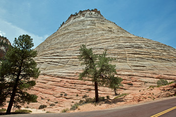 Fototapeta na wymiar USA, Red Rock Canyon