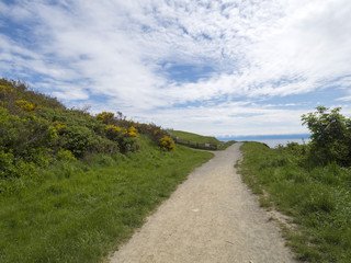A path diverges in a park on a sunny summer day