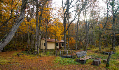 House in the middle of the forest